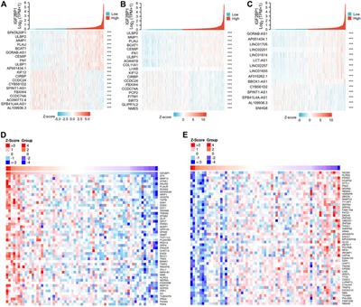 Elevated insulin-like growth factor 2 mRNA binding protein 1 levels predict a poor prognosis in patients with breast carcinoma using an integrated multi-omics data analysis